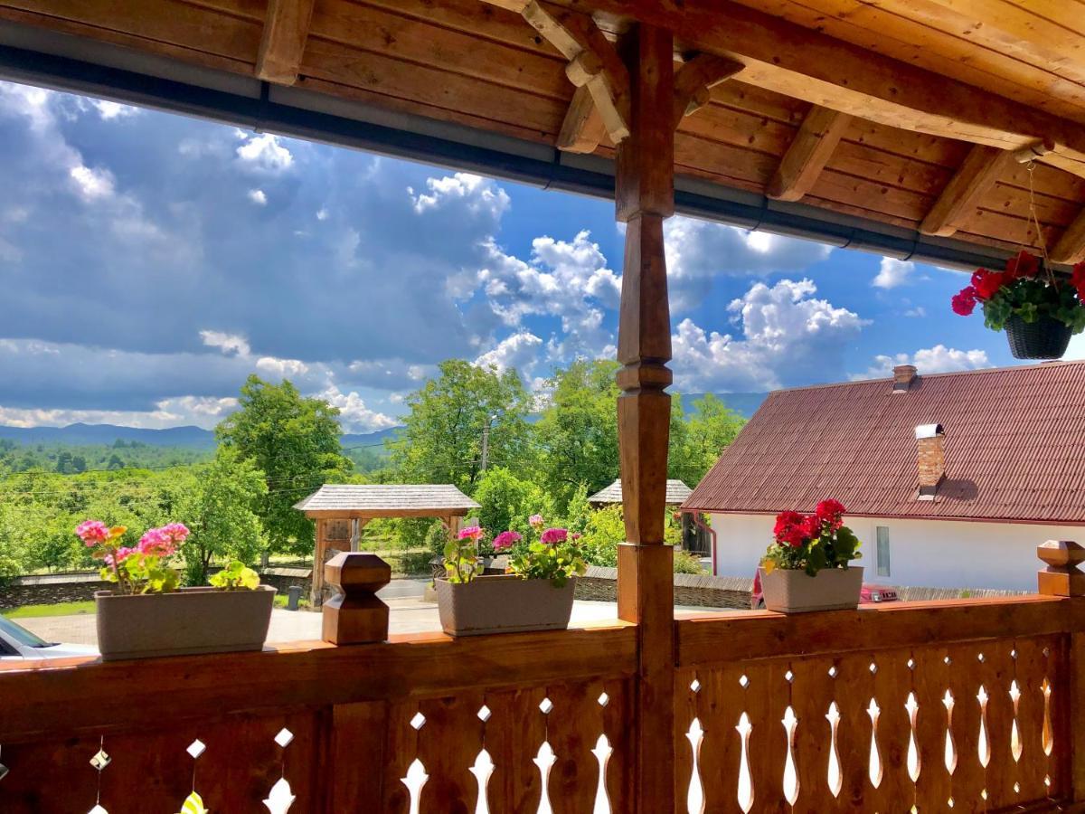 Pensiunea Roca Maramures Deseşti Zewnętrze zdjęcie