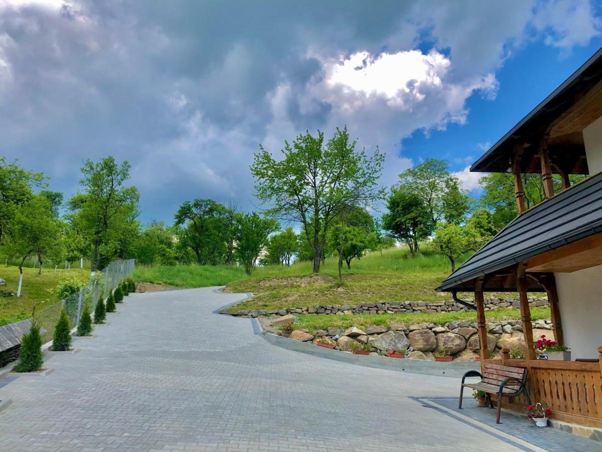 Pensiunea Roca Maramures Deseşti Zewnętrze zdjęcie