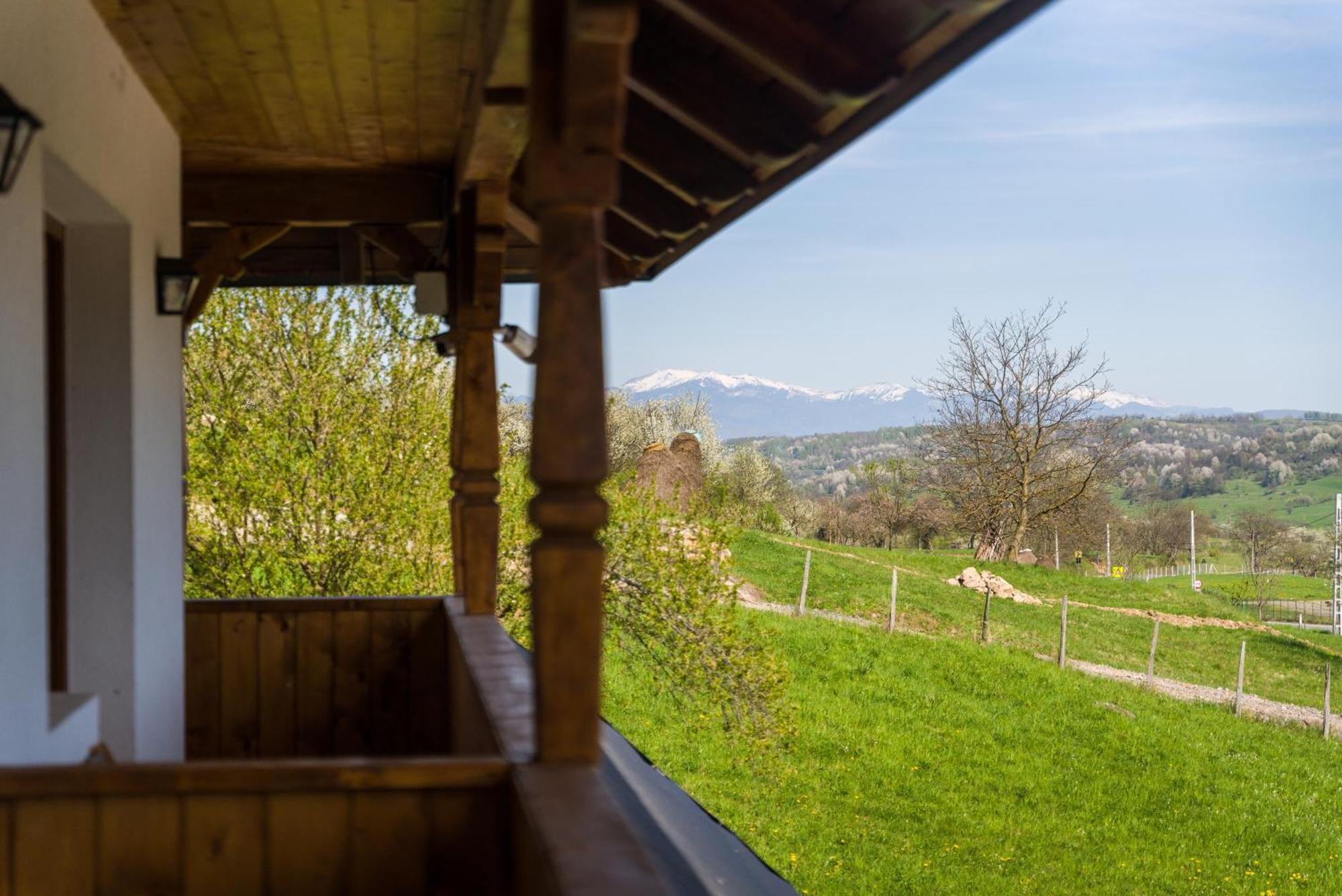Pensiunea Roca Maramures Deseşti Zewnętrze zdjęcie
