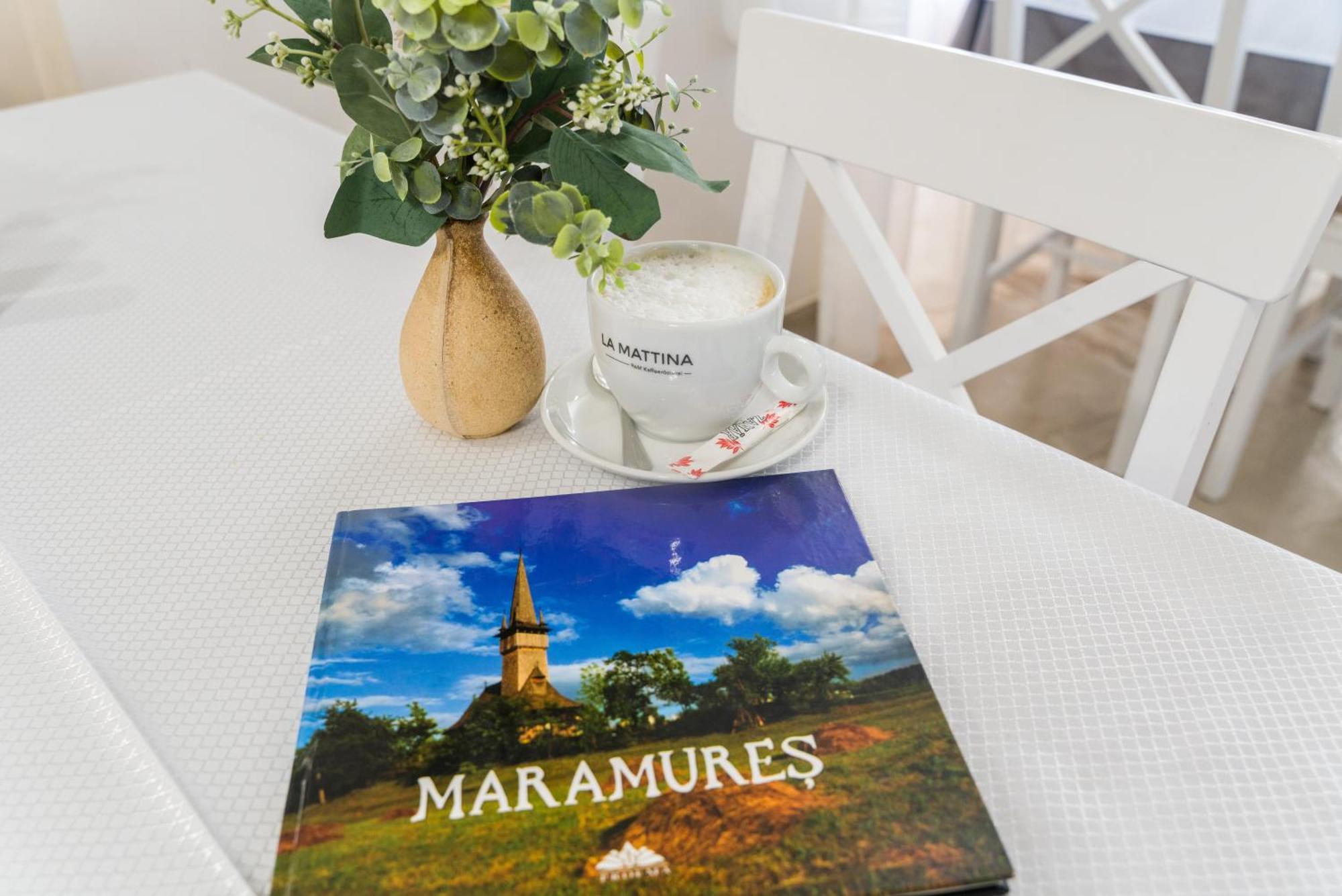 Pensiunea Roca Maramures Deseşti Zewnętrze zdjęcie